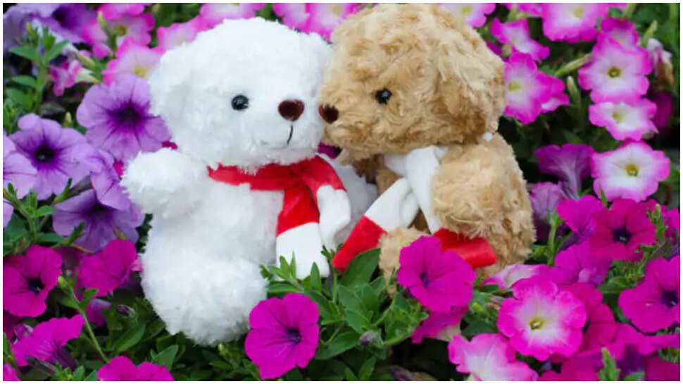 teddy day 2021 know teddy bear color significance before ...