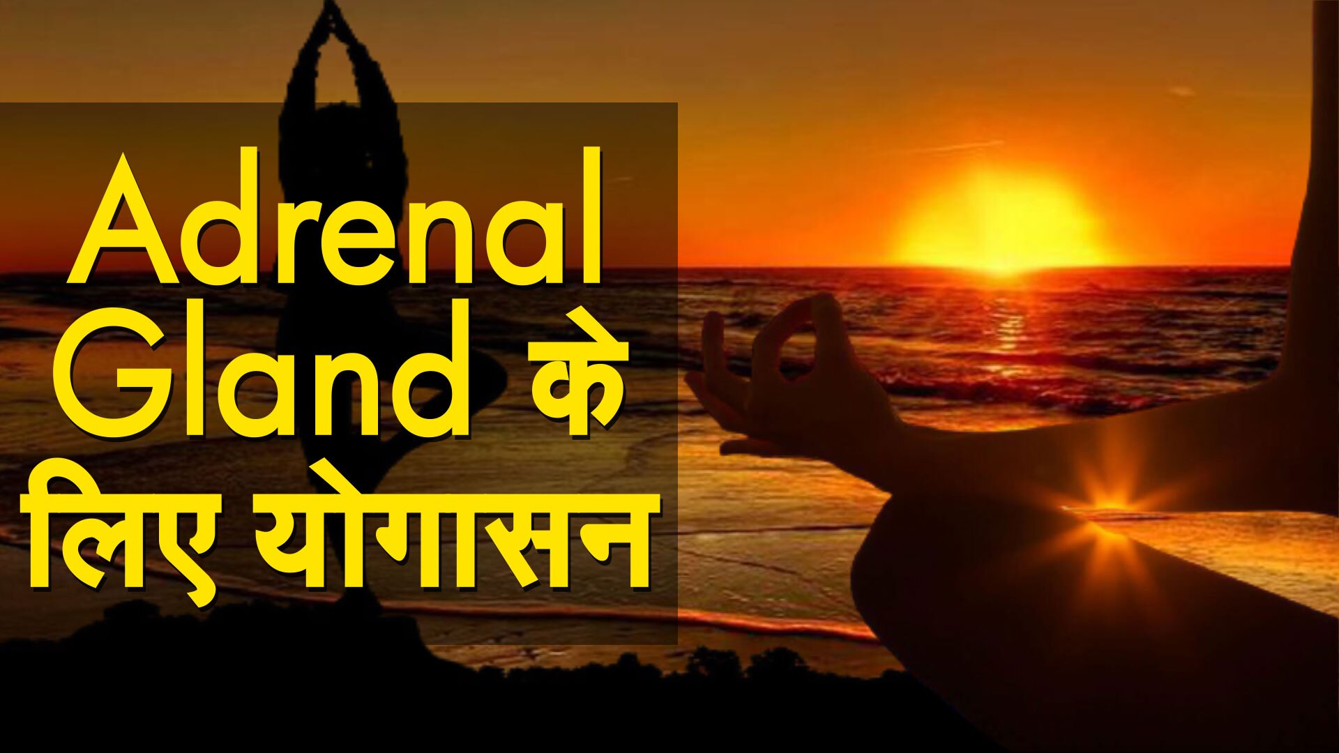 Yog Namaskar Yoga poses for Adrenal Glands योग नमस्कार Adrenal