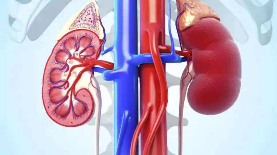 डायबिटीज की वजह से किडनी फेलियर का खतरा kidney failure risk