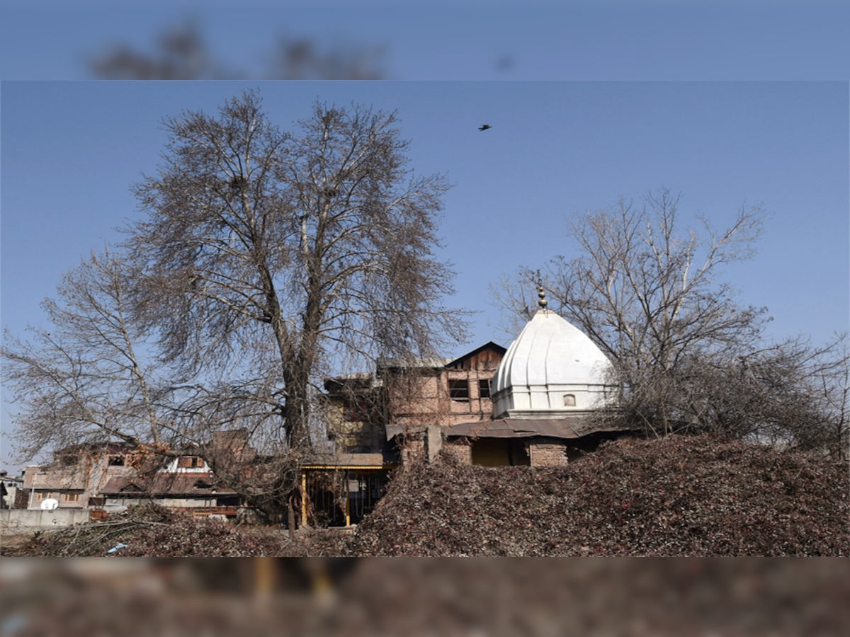 शीतलनाथ मंदिर (फोटो: ANI)