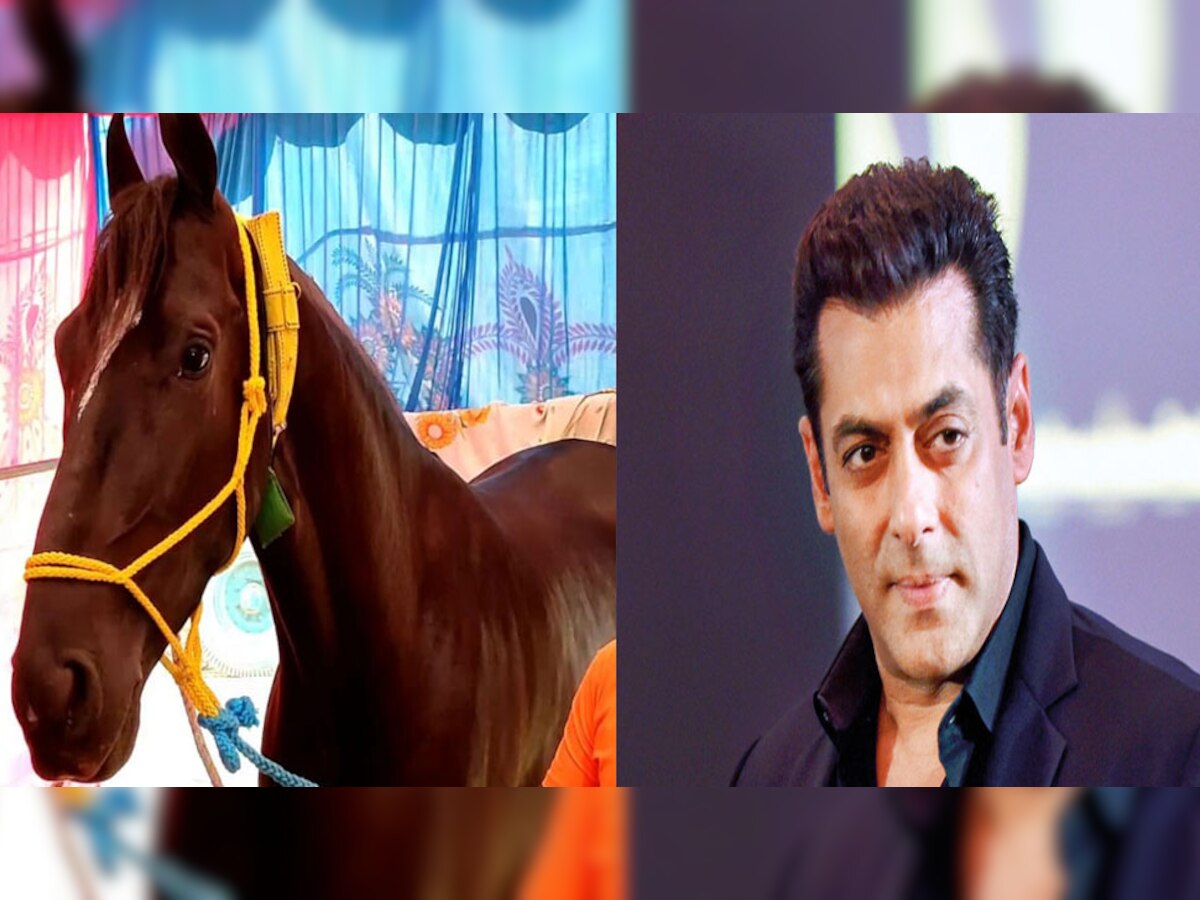 पंजाब के फरीदकोट में आयोजित हार्स शो में देश भर से अलग-अलग नस्ल के घोड़े लाए गए हैं