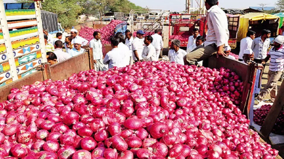 अभी सस्ता नहीं होगा प्याज No relief from costly onion