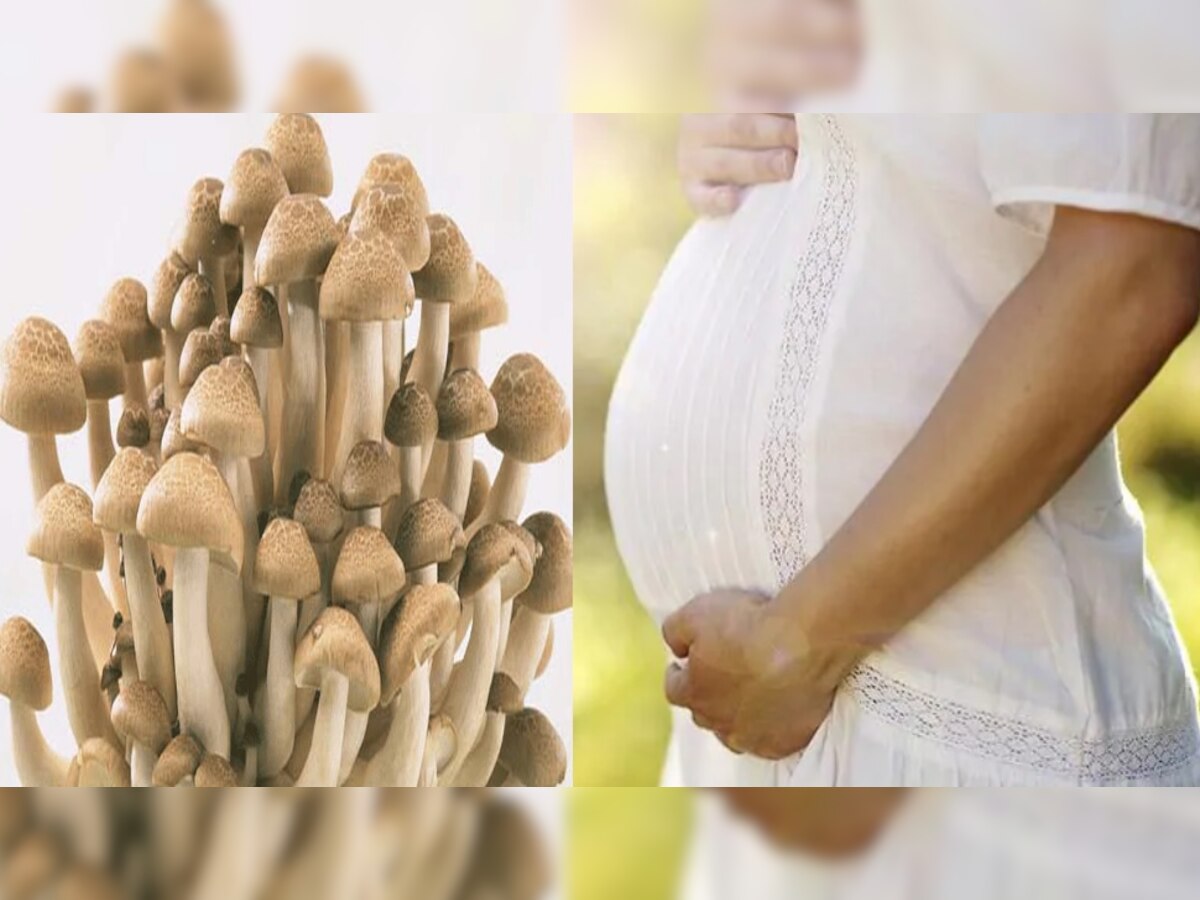 is it safe to eat mushrooms during pregnancy and breastfeeding