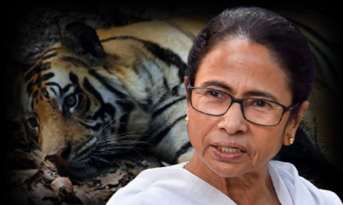 West Bengal Election: ममता दीदी ने खुद को बताया जख्मी टाइगर, कहा- &#039;खेल तो होगा&#039;