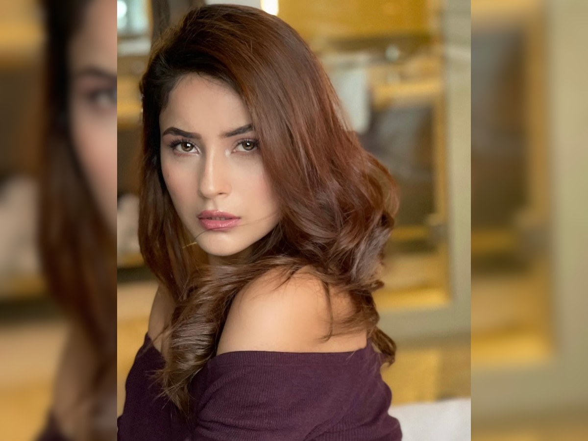 Shehnaaz Gill recent photos from canada are showing her best expressions | Shehnaaz Gill ने दिए कातिलाना एक्सप्रेशंस, Photos देख हो जाएंगे घायल | Hindi News,