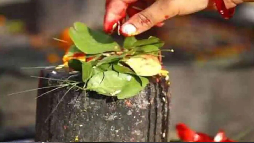 शिवलिंग पर चढ़ाएं बेलपत्र belpatra