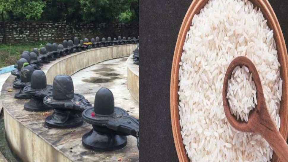 शिवलिंग पर चावल जरूर चढ़ाएं rice on shivling