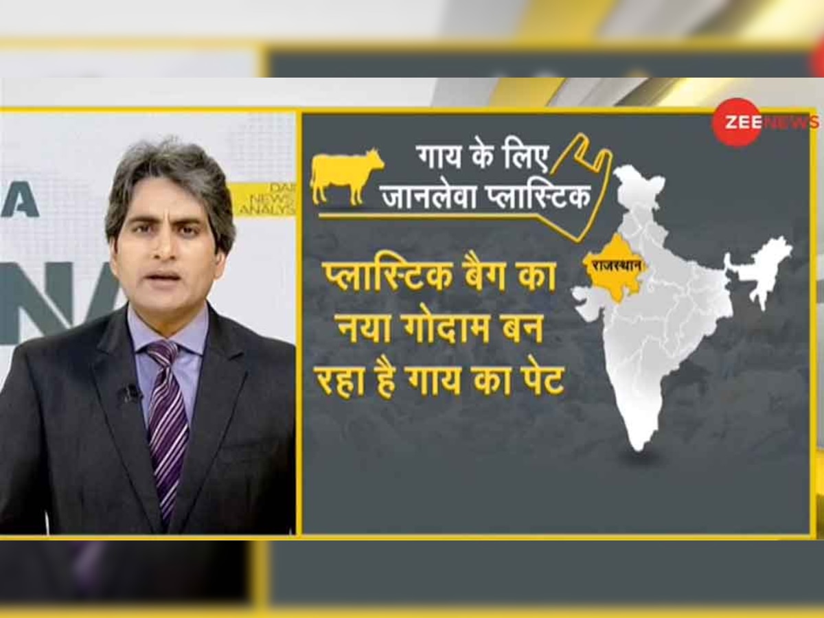 कूड़ा फेंकने की जानलेवा लापरवाही, जानिए कैसे प्‍लास्टिक का गोदाम बना गाय का पेट