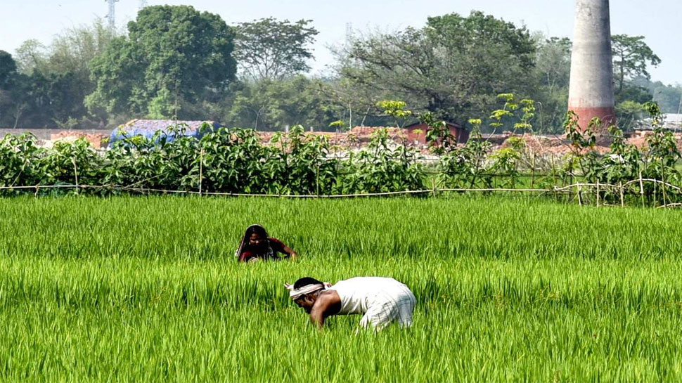 सीधे बैंक में भेजा जाता है पैसा Direct Transfer to Farmer Bank Account