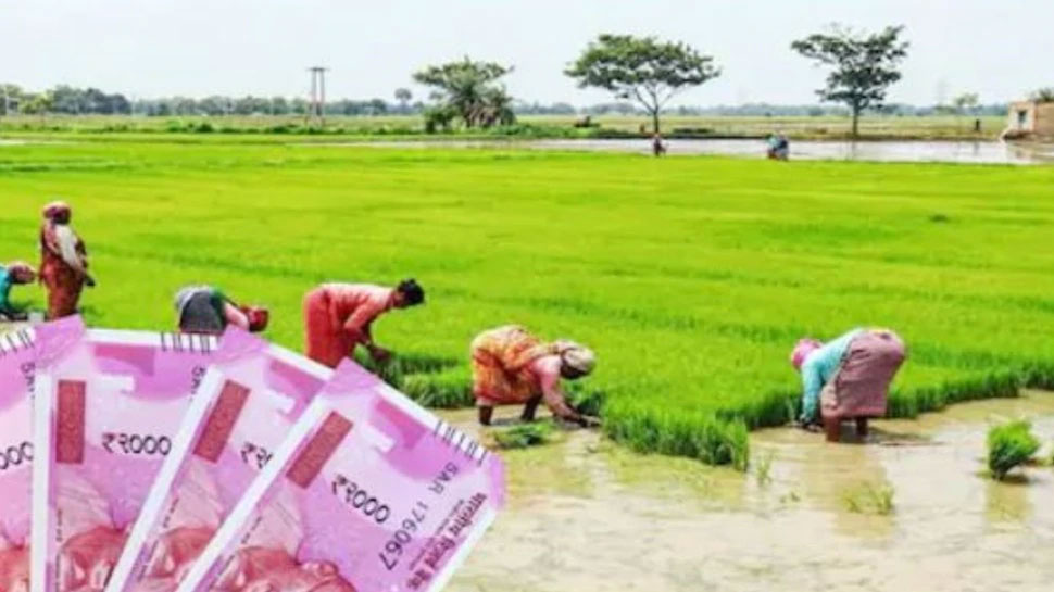गलत जानकारी देना पड़ेगा भारी Action Against fake Farmers