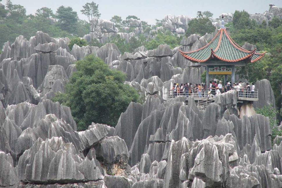 स्टोन फॉरेस्ट Stone forest