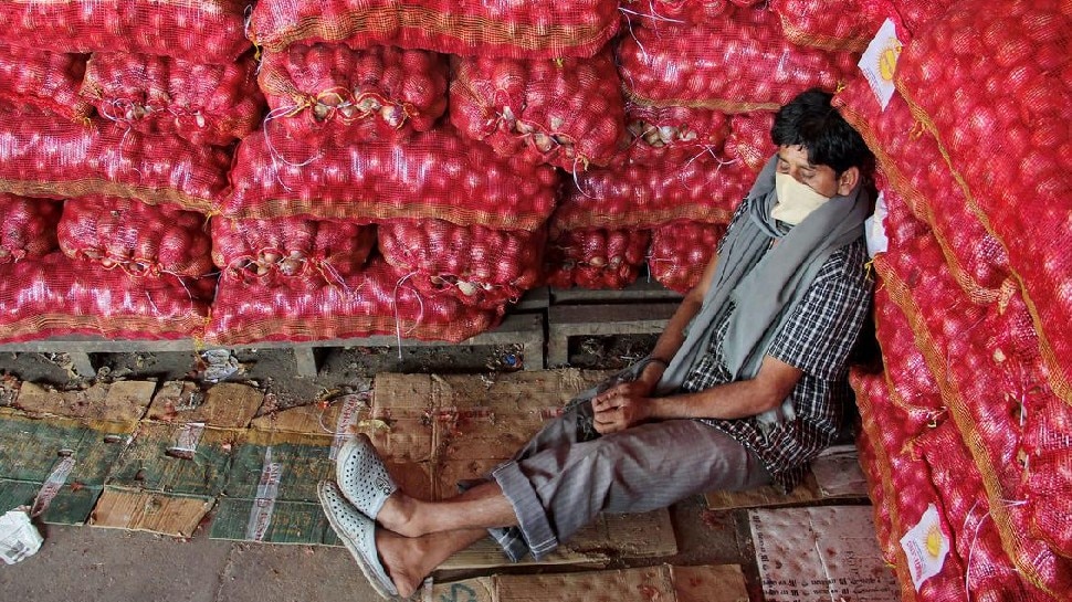 मुंबई में थोक प्याज के रेट आधे हुए onion prices slashed in mumbai