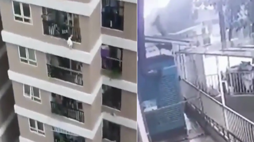 Vietnam: 12वीं मंजिल से गिरी बच्ची को Delivery Boy ने हवा में ही किया Catch, घटना का वीडियो हो रहा Viral
