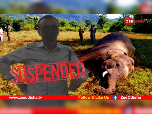 ଡିଜାଇନ ଫଟୋ