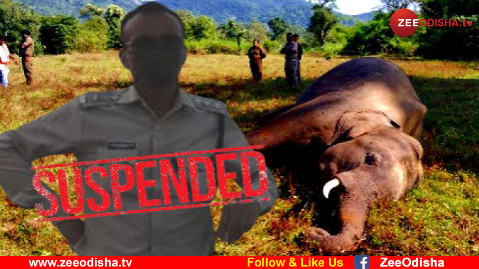 ଡିଜାଇନ ଫଟୋ ଡିଜାଇନ ଫଟୋ