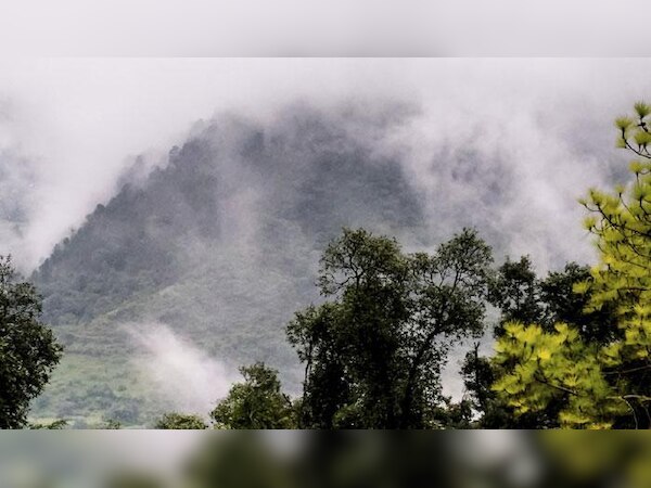 ପୁଣି ବଢିବ ତାତି; ୨୪ ଘଣ୍ଟାରେ କୁହୁଡି ସମ୍ଭାବନା