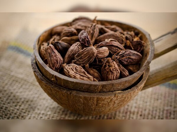 फाइल फोटो