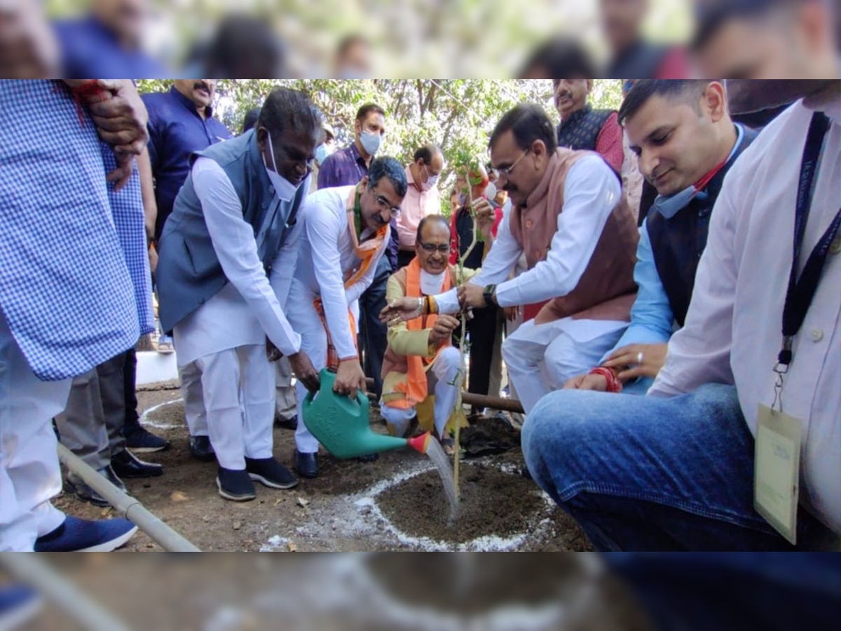 मुख्यमंत्री शिवराज चौहान ने अपने 62वें जन्मदिन के अवसर पर सीएम हाउस परिसर में बिल्वपत्र का पौधा रोपा. (Twitter)