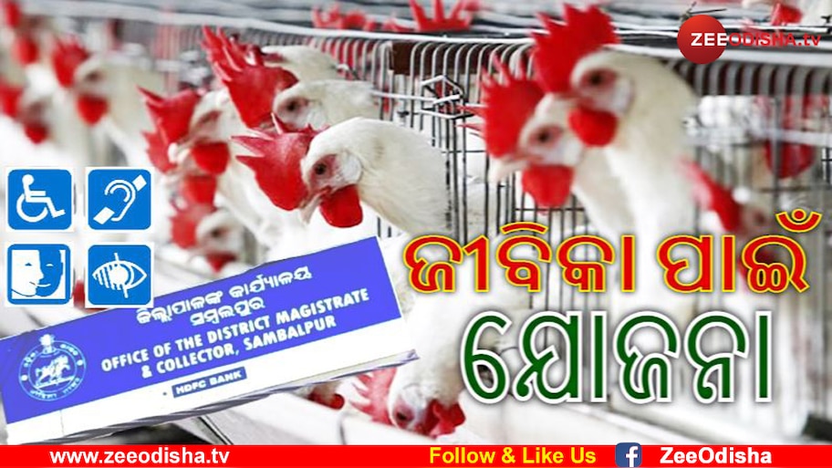 ଦିବ୍ୟାଙ୍ଗଙ୍କୁ ସ୍ୱାବଲମ୍ବୀ କରିବ କୁକୁଡା