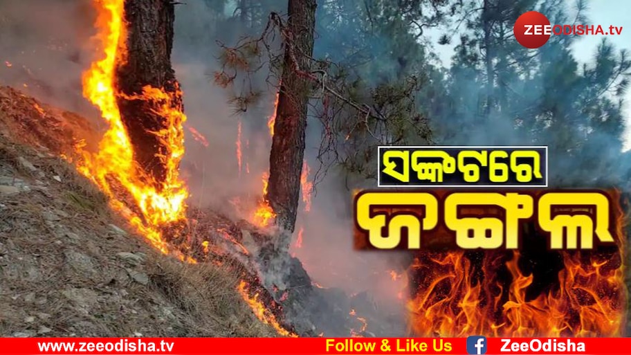 ଫୁସଫୁସରେ ନିଆଁ! ଶିମିଳିପାଳ ପରେ ଜଳୁଛି ଦକ୍ଷିଣ ଓଡି଼ଶା