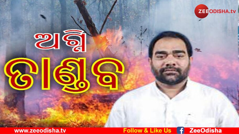ଜଳୁଛି ଜଙ୍ଗଲ ମନ୍ତ୍ରୀଙ୍କ ଜିଲ୍ଲା