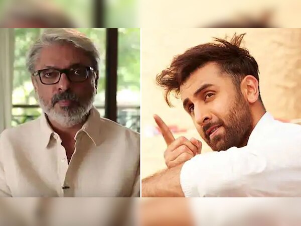 फाइल फोटो...