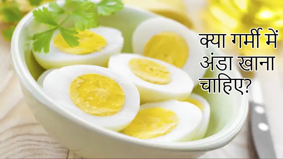 confused about whether eating eggs in summer is good or bad know the