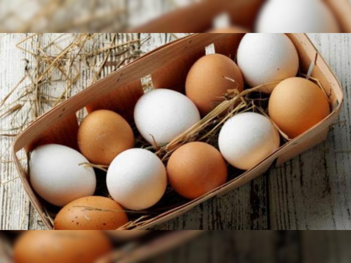 confused about whether eating eggs in summer is good or bad know the