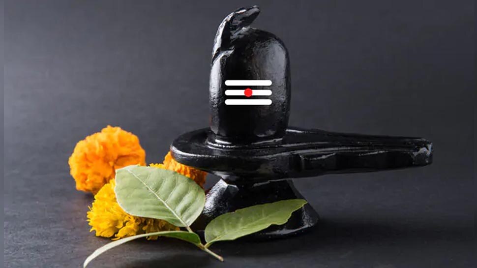 Mahashivratri 2021: भगवान शिव को नहीं चढ़ाई जाती हैं ये चीजें, पूजा में भूल कर भी न करें इनका इस्तेमाल