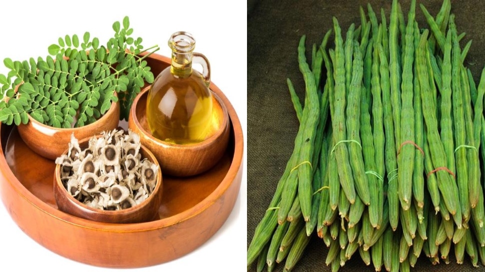 drumstick or moringa is beneficial for mens health and fertility