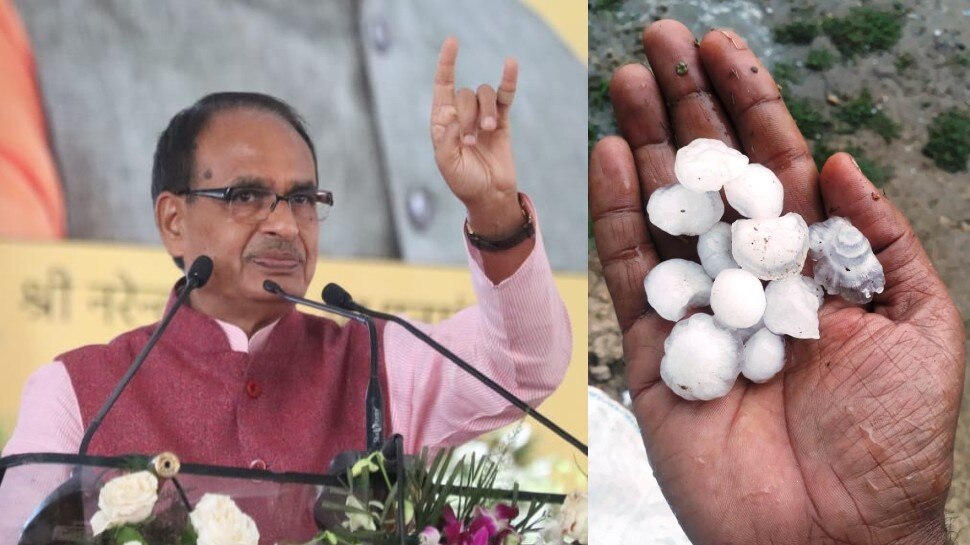 MP में बेमौसम बारिश का कहर: अतिवृष्टि से खराब हुई फसलें, शिवराज सरकार ने किसानों को राहत देते हुए किया यह ऐलान