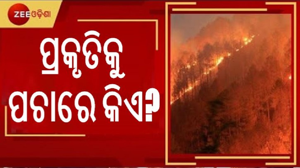 ଡିଜାଇନ ଫଟୋ ଡିଜାଇନ ଫଟୋ