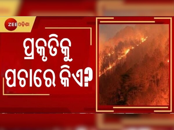 ଡିଜାଇନ ଫଟୋ