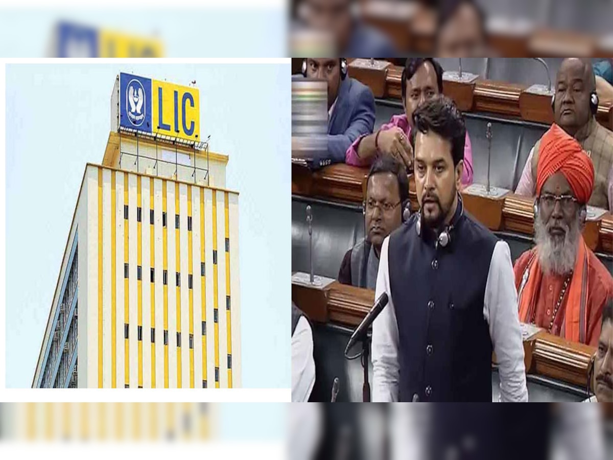 LIC के IPO से किसी की नौकरी को खतरा नहीं