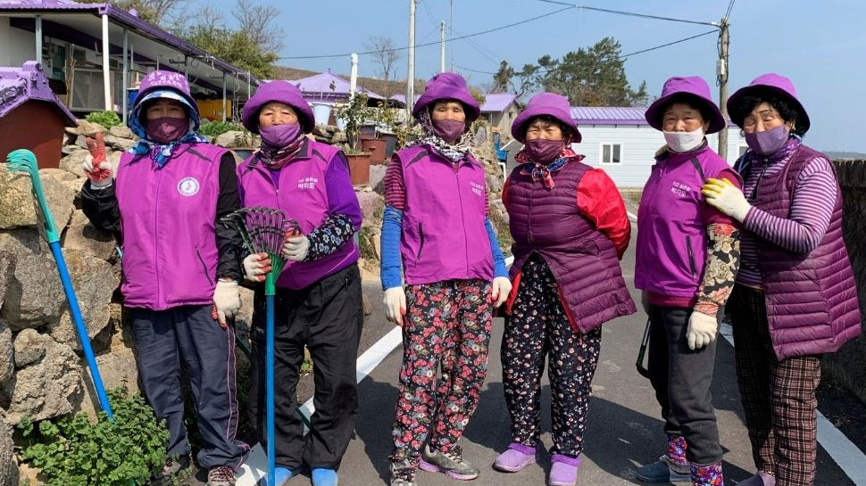 Purple Islands: अपने आप में अनूठा है South Korea का ये आईलैंड, घरों को छोड़कर यहां सब कुछ बैंगनी