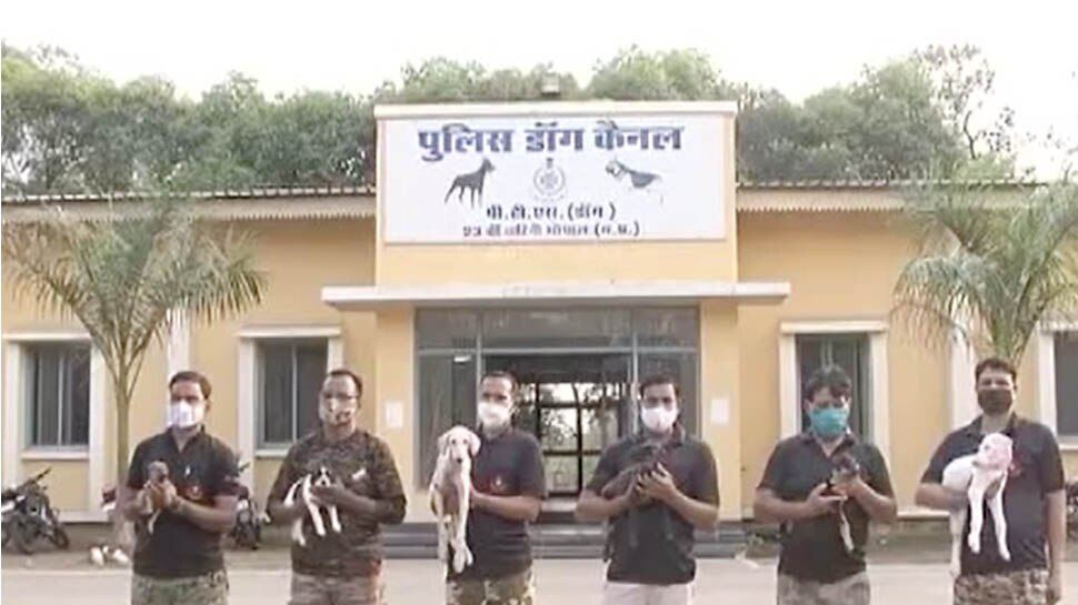 MP पुलिस ने मानी PM मोदी के मन की बात, प्रदेश में पहला मौका जब देसी नस्ल के कुत्तों को प्रशिक्षण दिया जाएगा