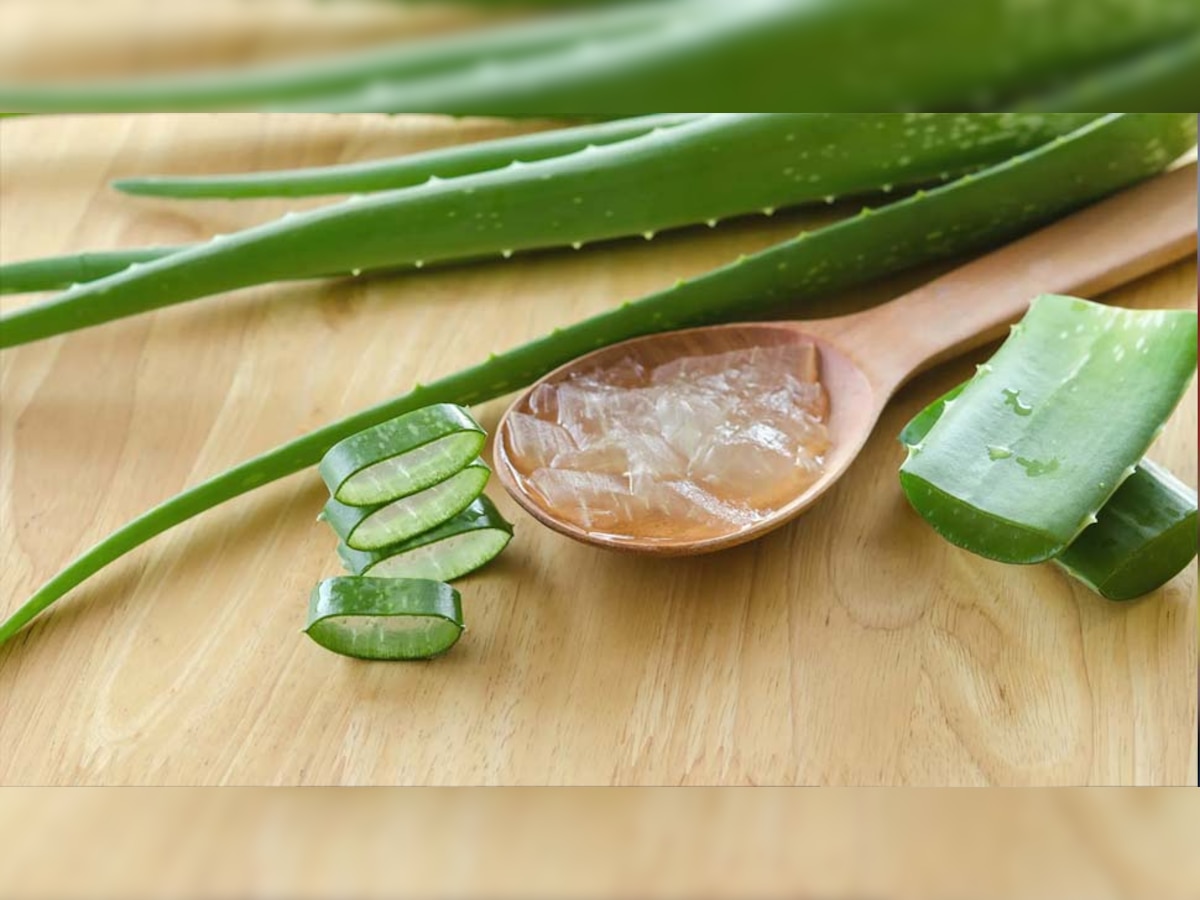 क्या जानते हैं Aloe vera के अमेजिंग फायदे, गिनते-गिनते थक जाएंगे