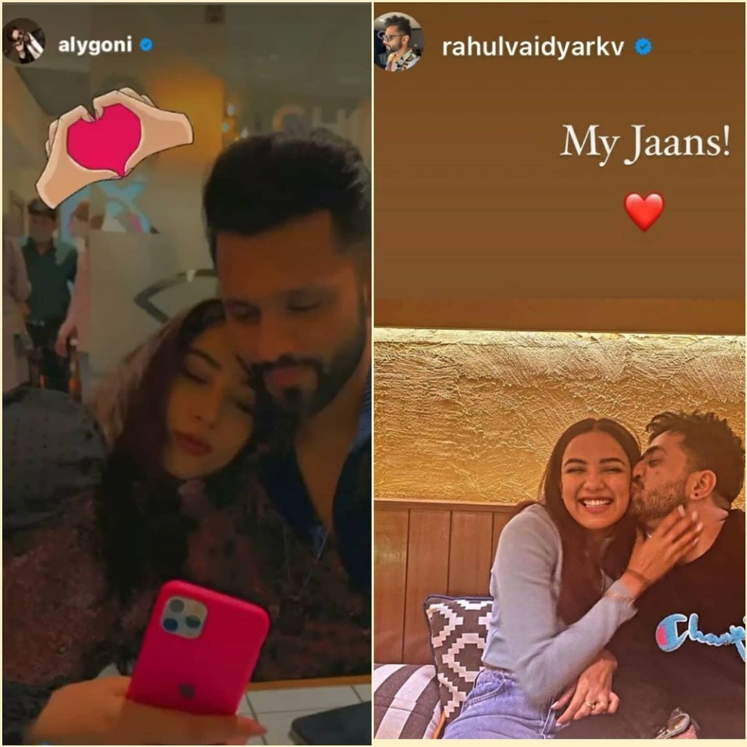 कई गानों में नजर आएगे जैस्मिन और अली jasmin aly in songs