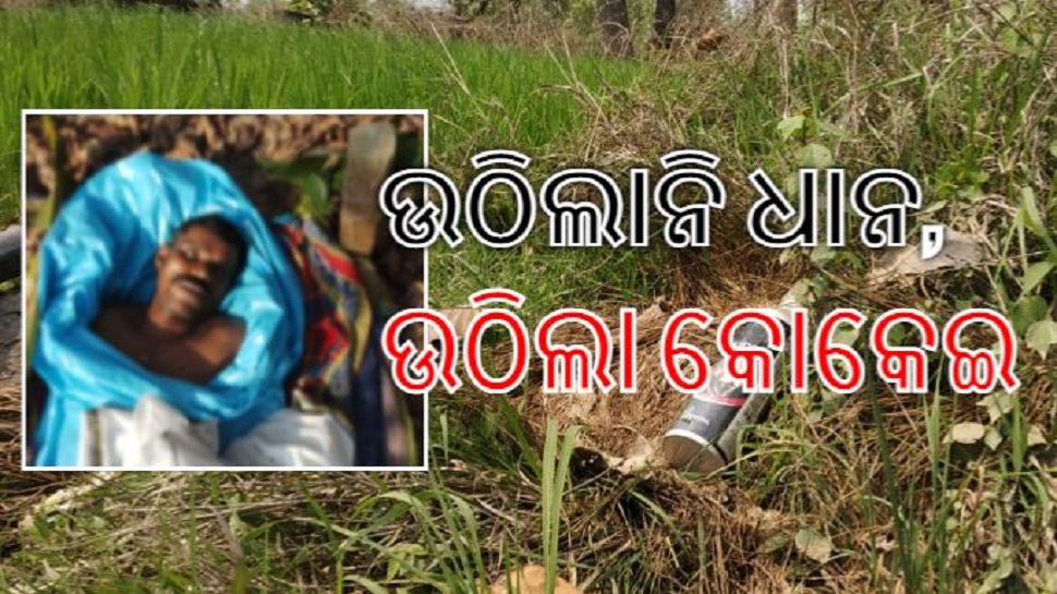 ବିଧାନସଭାରେ ନାଟକ! ସତରେ ଚାଷୀ ପିଇଲେ କୀଟନାଶକ ବିଧାନସଭାରେ ନାଟକ! ସତରେ ଚାଷୀ ପିଇଲେ କୀଟନାଶକ