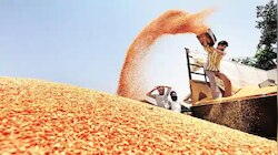 शिवराज सरकार कर रही ऐसी व्यवस्था, अब सिर्फ असली किसानों को मिलेगा MSP का लाभ
