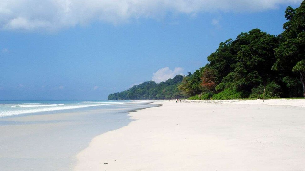 नए खतरे की आहट: Andaman Islands में मिला खतरनाक Candida Auris, महामारी का ले सकता है रूप