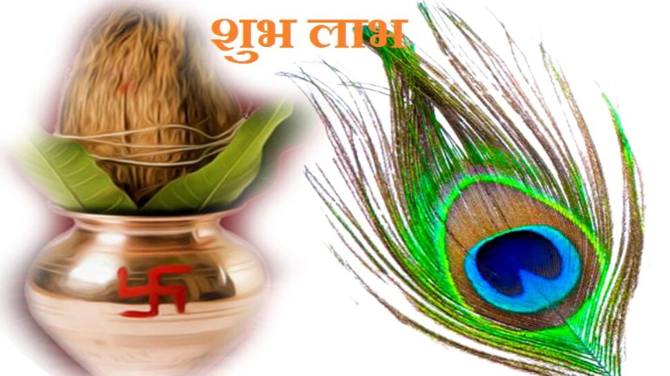 benefits-of-keeping-peacock-feather-at-home-keeps-vastu-dosh-away