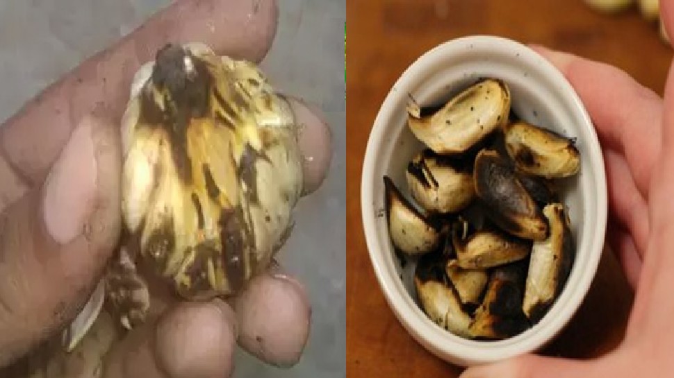 शादीशुदा पुरुष इस समय चबा लें भुने हुए लहसुन की 2 कलियां, फिर जो होगा, यकीन नहीं करेंगे आप...