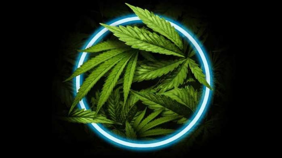 Marijuana 1080P, 2K, 4K, 5K HD wallpapers free download | Wallpaper Flare