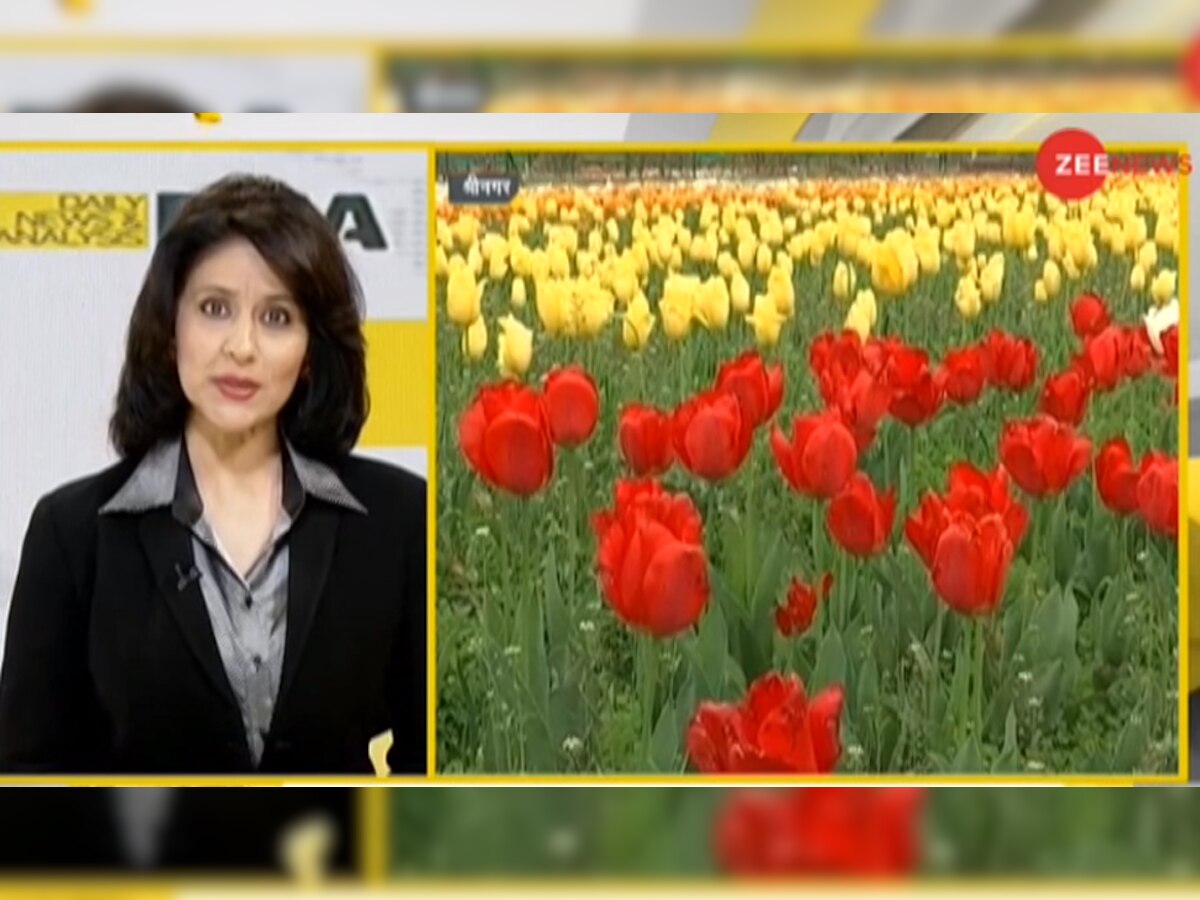DNA ANALYSIS: आज से खुला कश्‍मीर का Tulip Garden, क्‍या आप जानते हैं ट्यूलिप के फूलों की ये खूबियां?