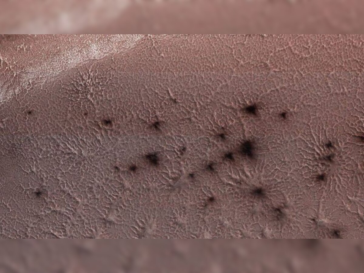 Spiders On Mars