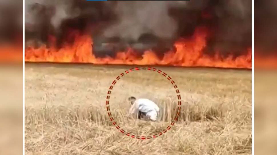 एक चिंगारी से राख हो गई थी 50 बीघा की फसल, अब MP सरकार देगी मुआवजा, Video भी हुआ था Viral
