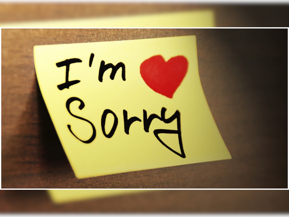 relationship tips art of saying sorry how to seek partner s ...