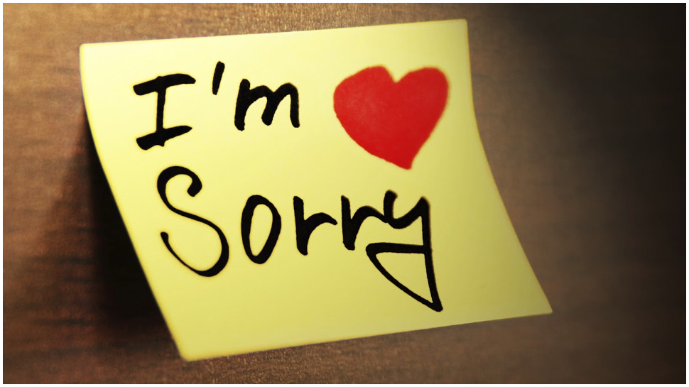 relationship tips art of saying sorry how to seek partner s ...