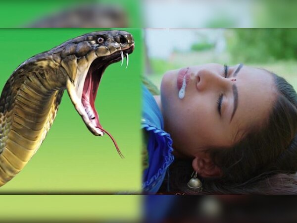 ପ୍ରତିକାତ୍ମକ ଫଟୋ